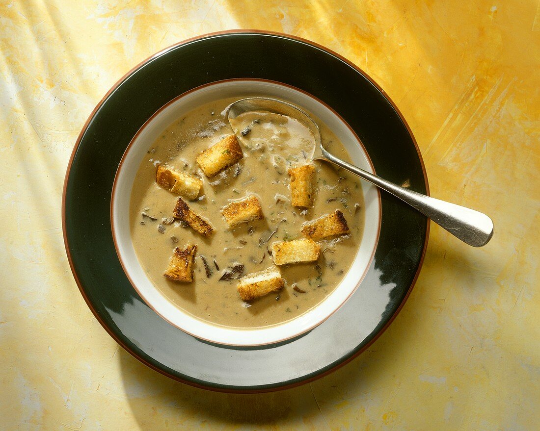 Elegant mushroom soup with croutons in soup plate