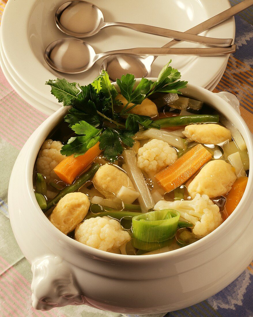 Frische Suppe (North German vegetable stew with dumplings)