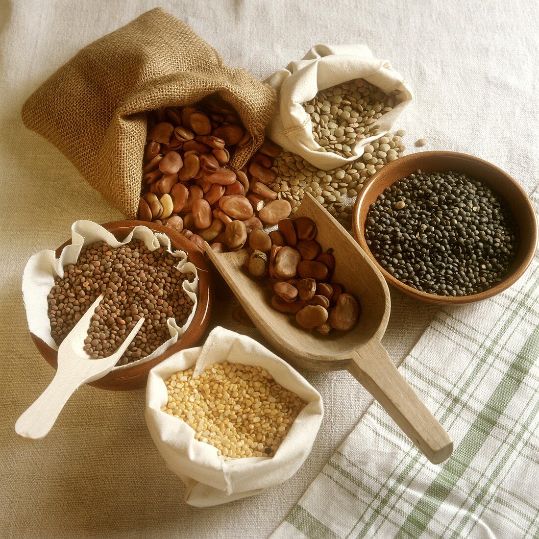 Various pulses in bowls and bags