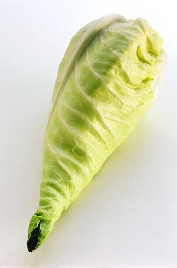 Pointed Cabbage