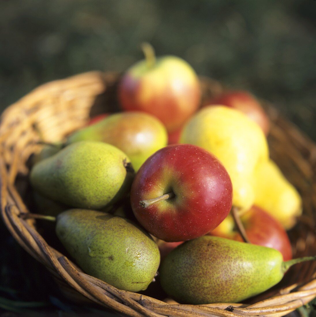 Apples and pears in a basket in the open air