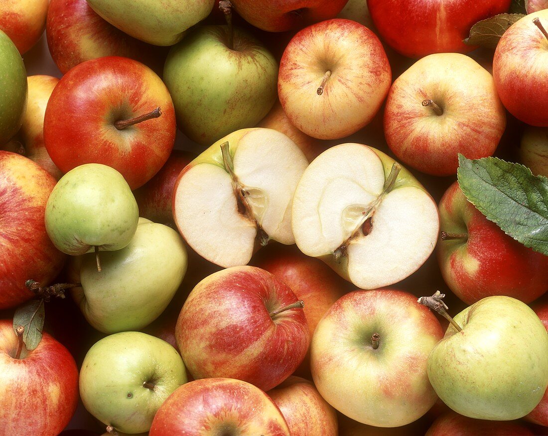 Verschiedene Apfelsorten (bildfüllend) & halbierter Apfel