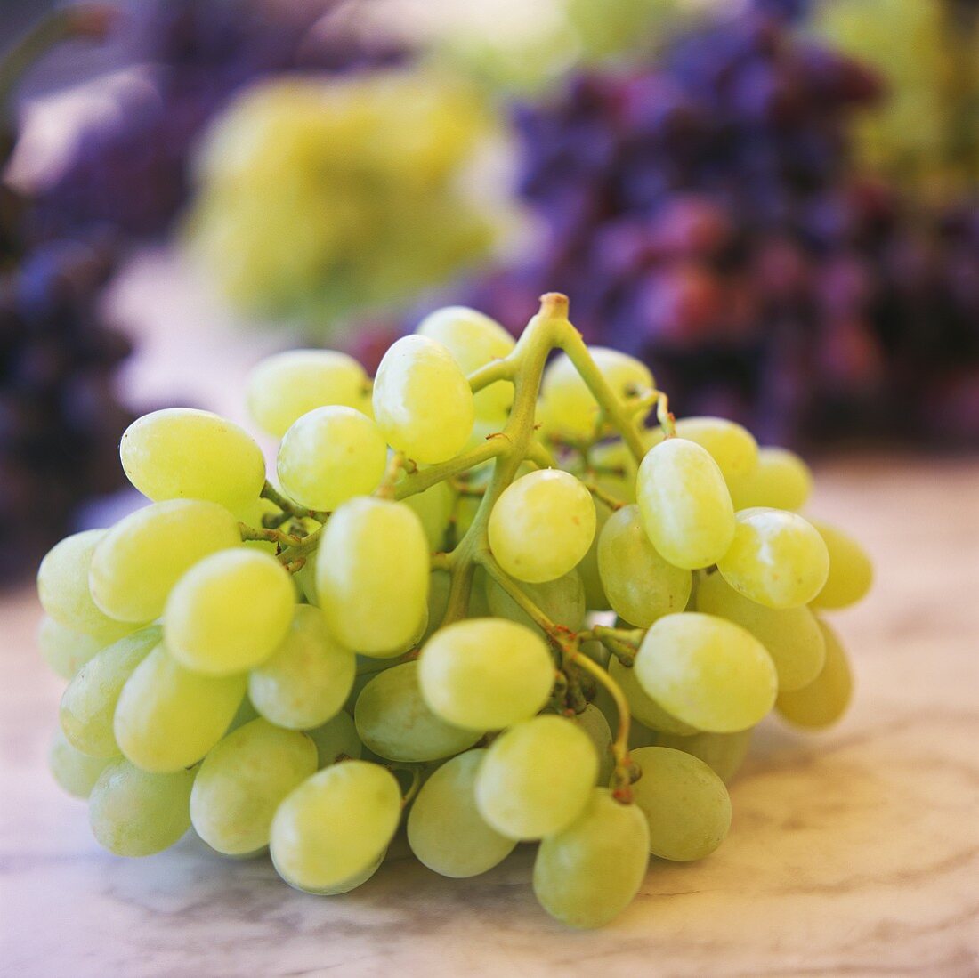 Green grapes on marble platter in front of mixed grapes