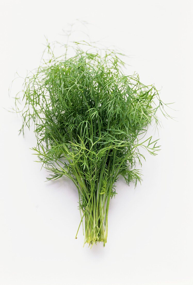 A Bunch of Fresh Dill