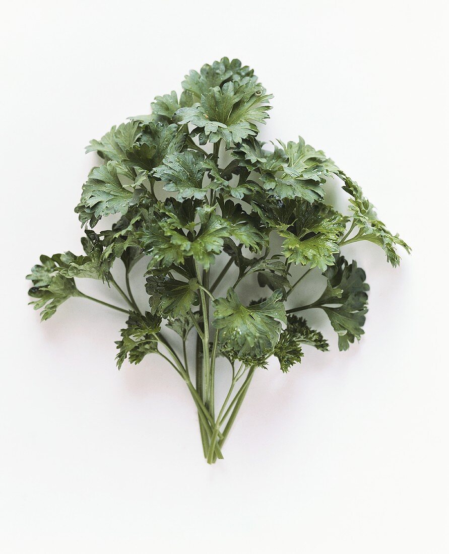 Parsley