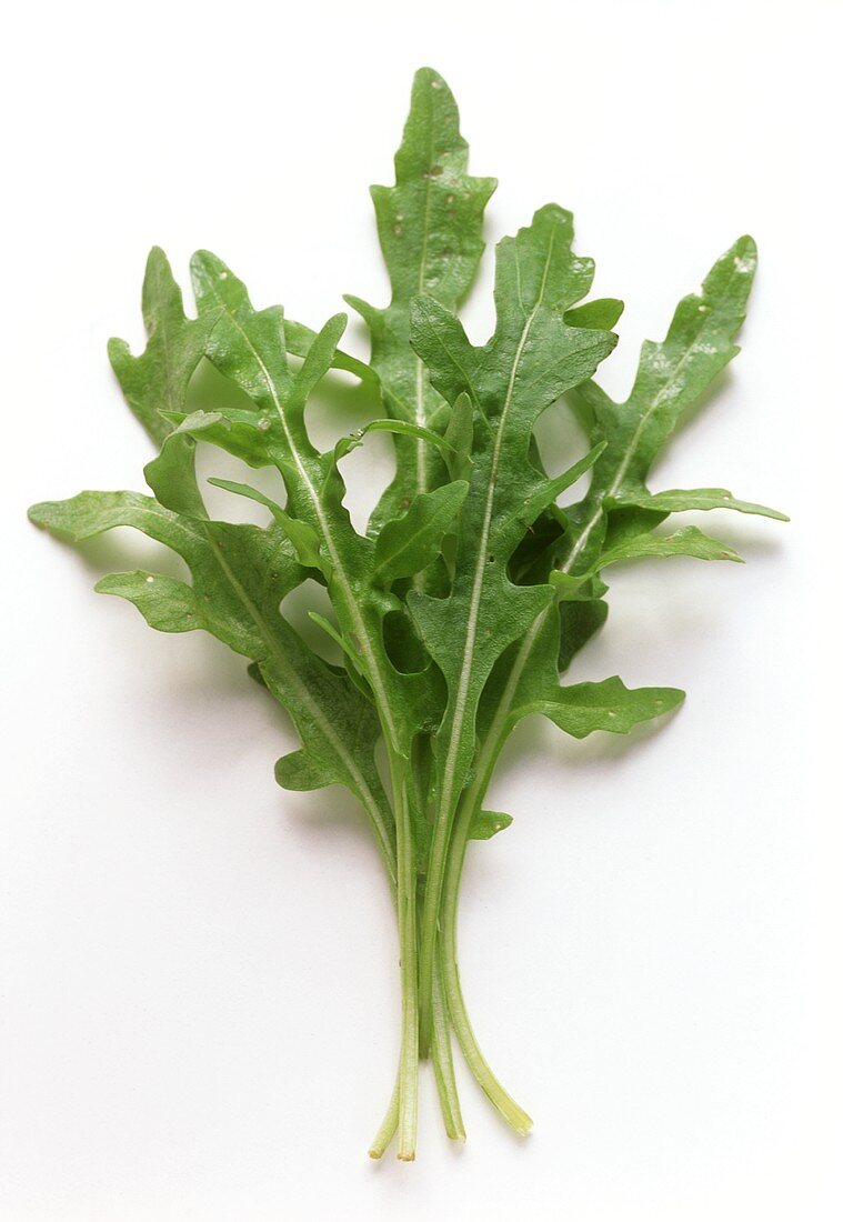 Rucola