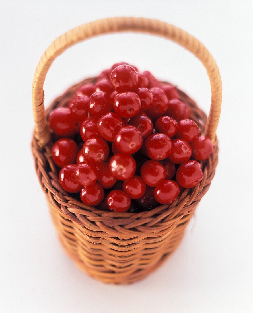 Preiselbeeren in kleinem Henkelkörbchen