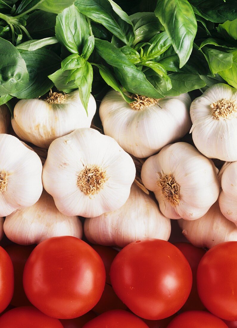 Basil, garlic and tomatoes (Italian colours)