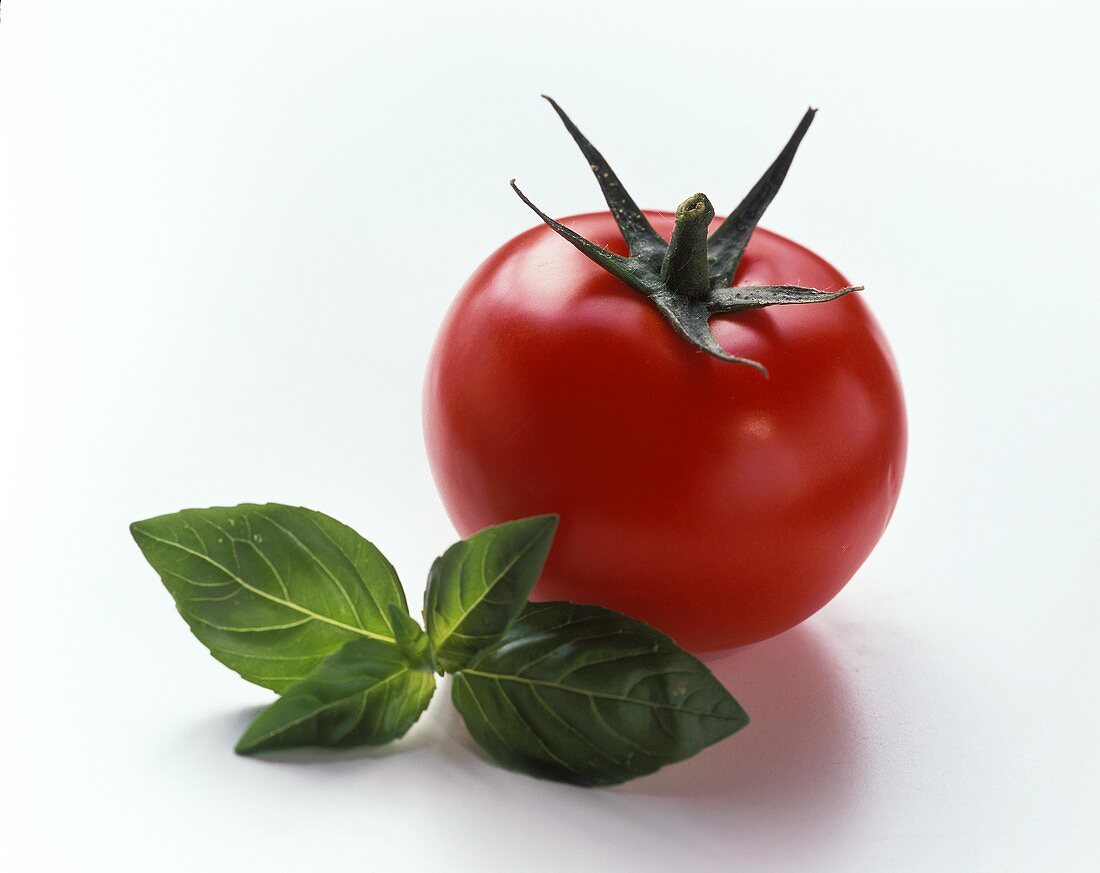 Tomate und Basilikum