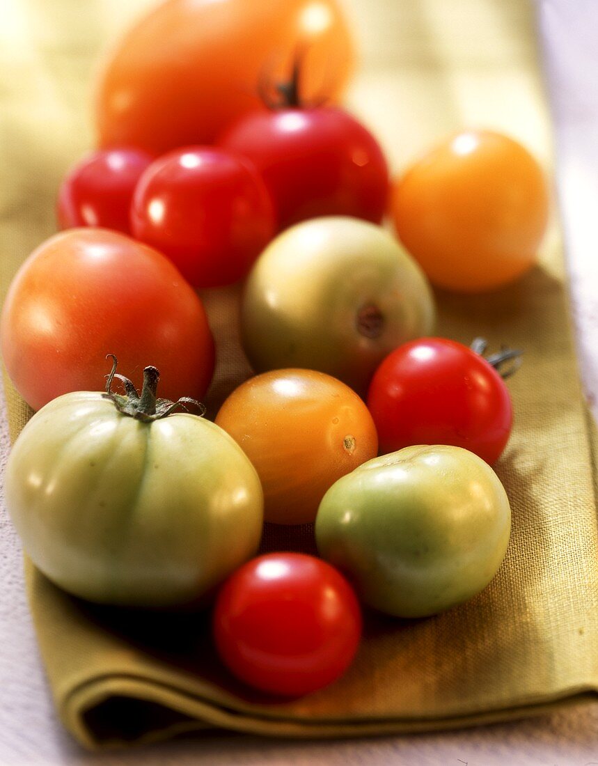 Various types of tomatoes (green, yellow, red) on yellow cloth