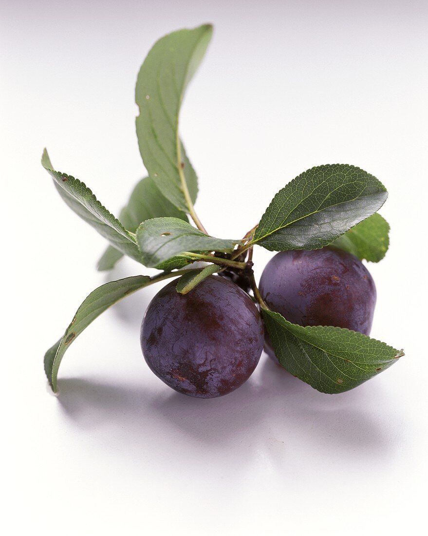Plums with Stems