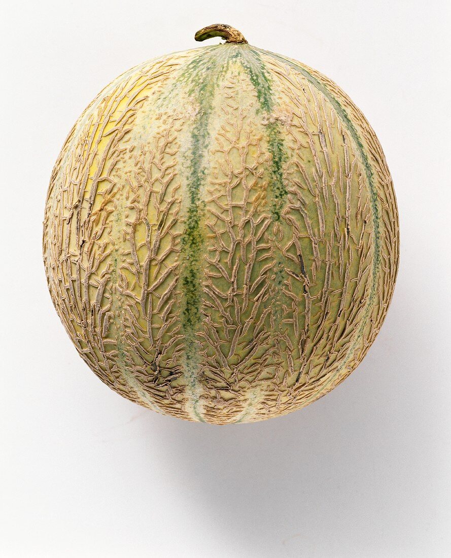 A Whole Cantaloupe Melon