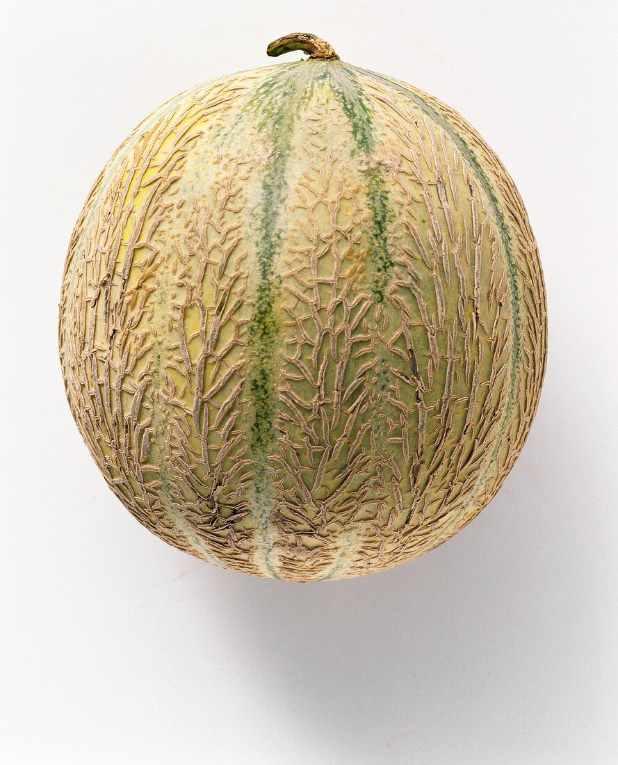 Cavaillon-Melone