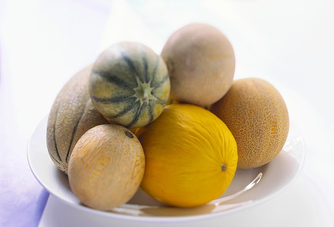 Melonen auf Teller (Charentais-, Galia-, Netz-, Honigmelone)