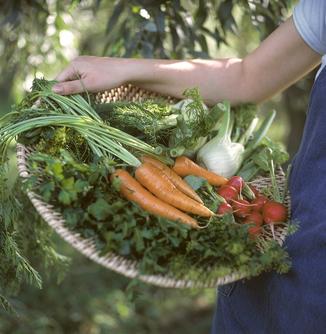 Gemüse und Kräuter im flachen Korb, von einer Hand gehalten