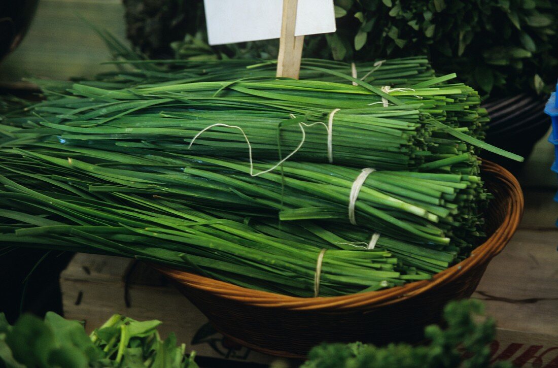 Basket of Chives