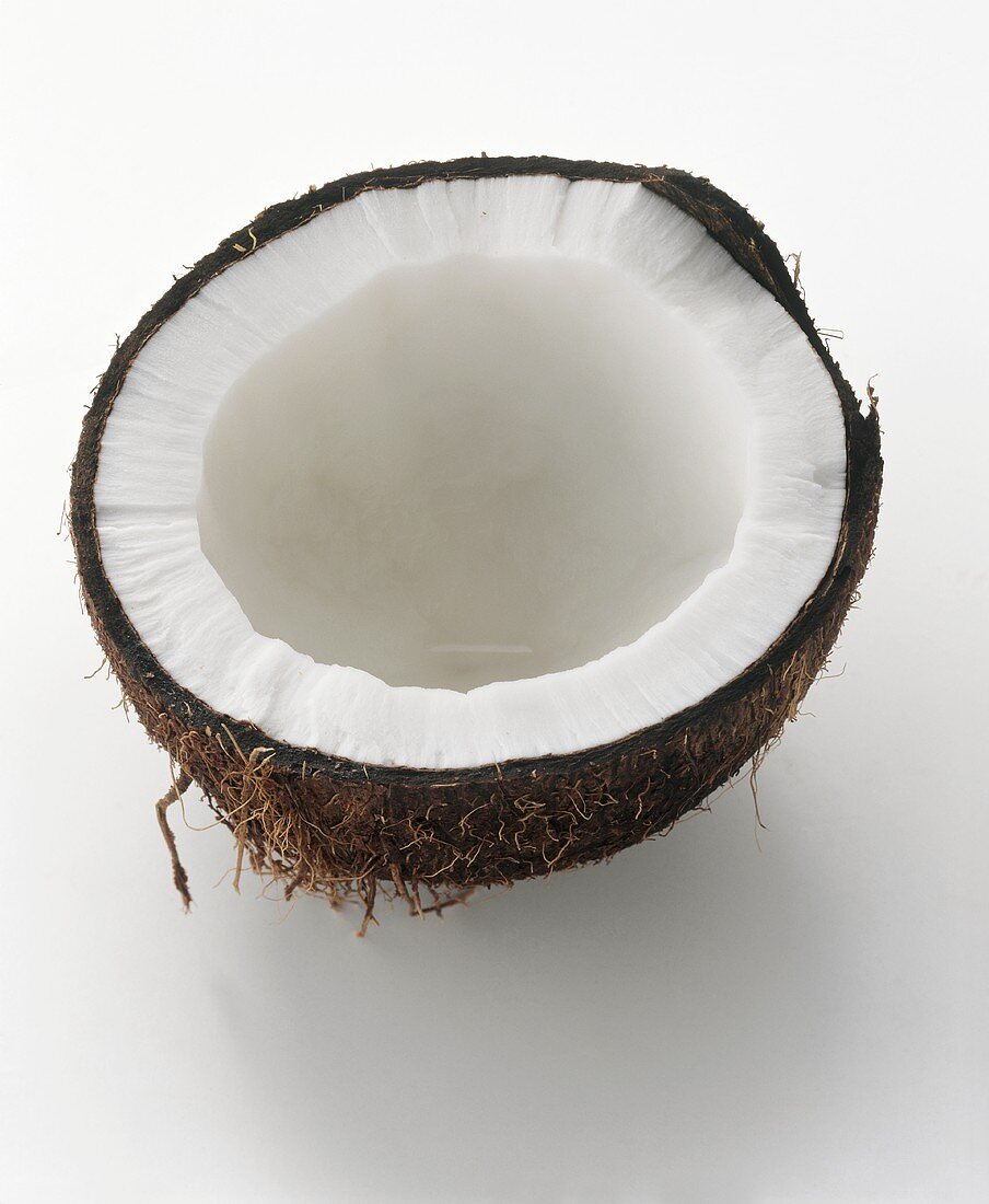 Eine Kokosnusshälfte (Querschnitt)