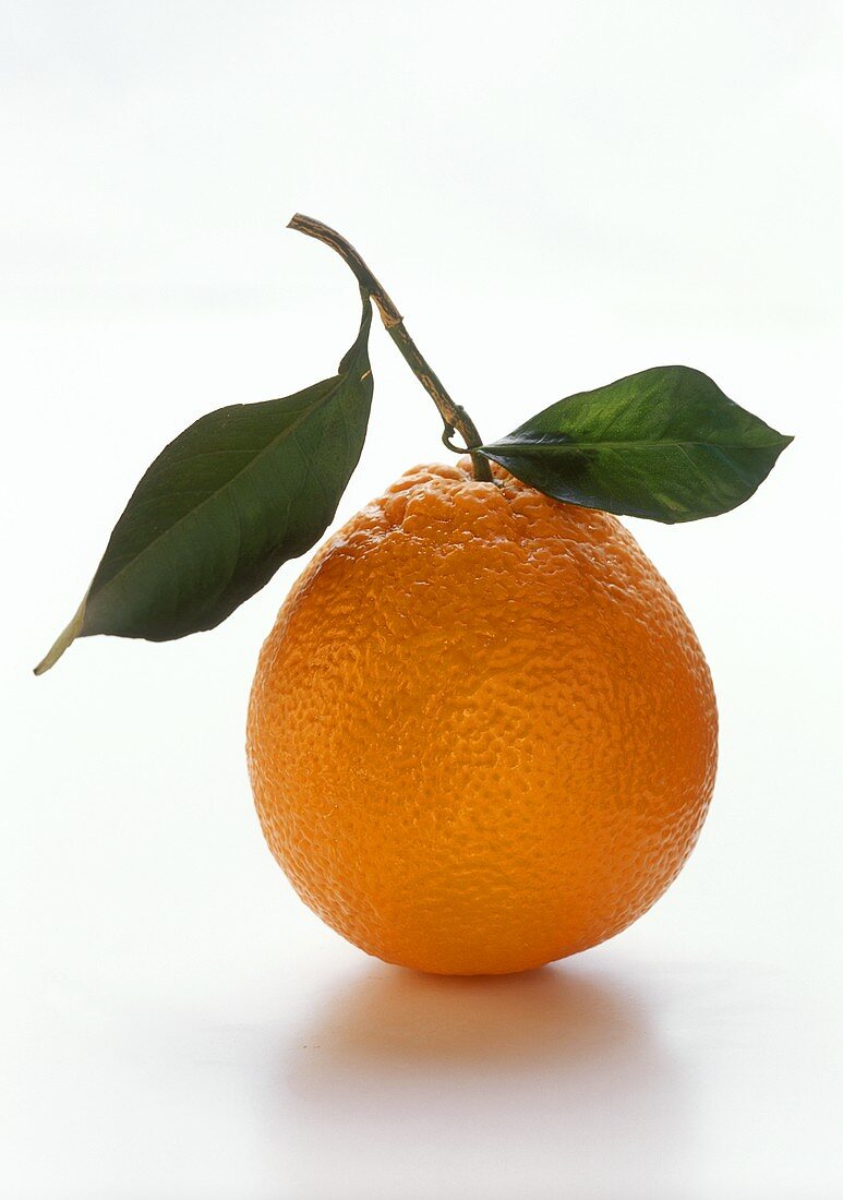 A Single Orange with Leaves