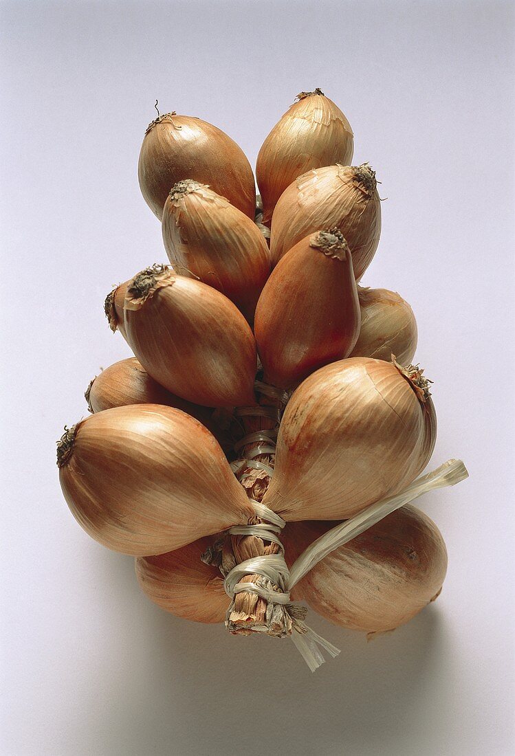 A rope of shallots
