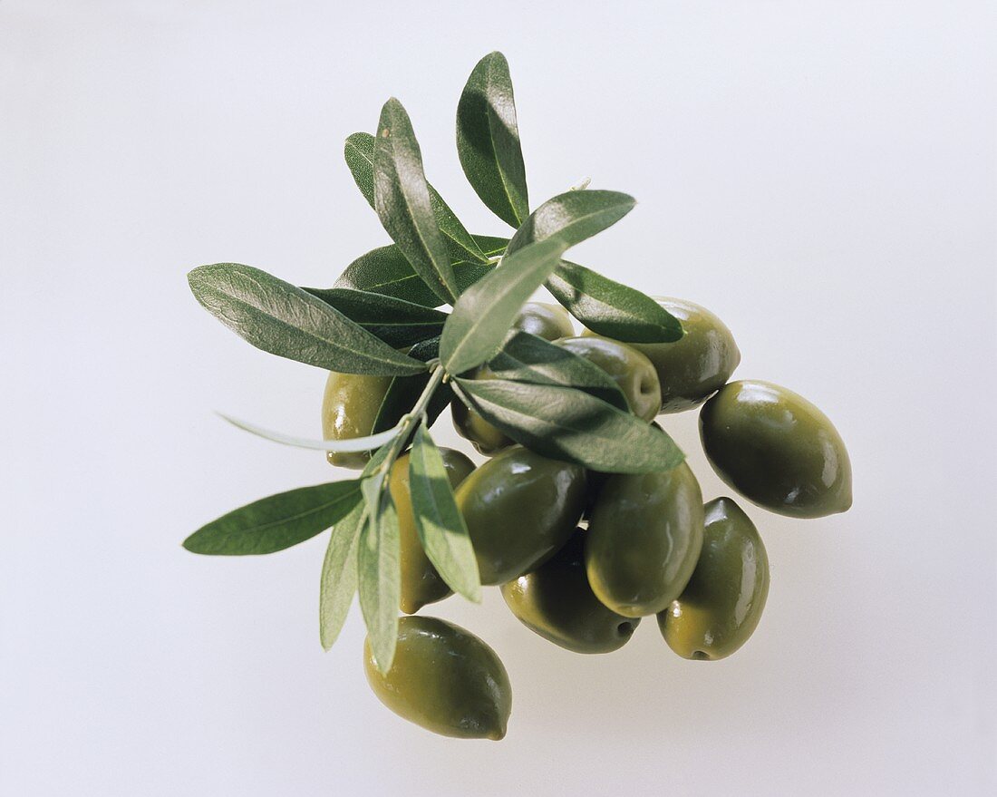 A heap of green olives and olive branches