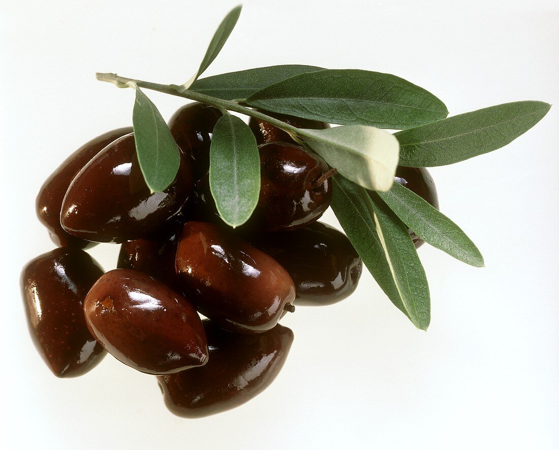 A heap of black olives and an olive branch