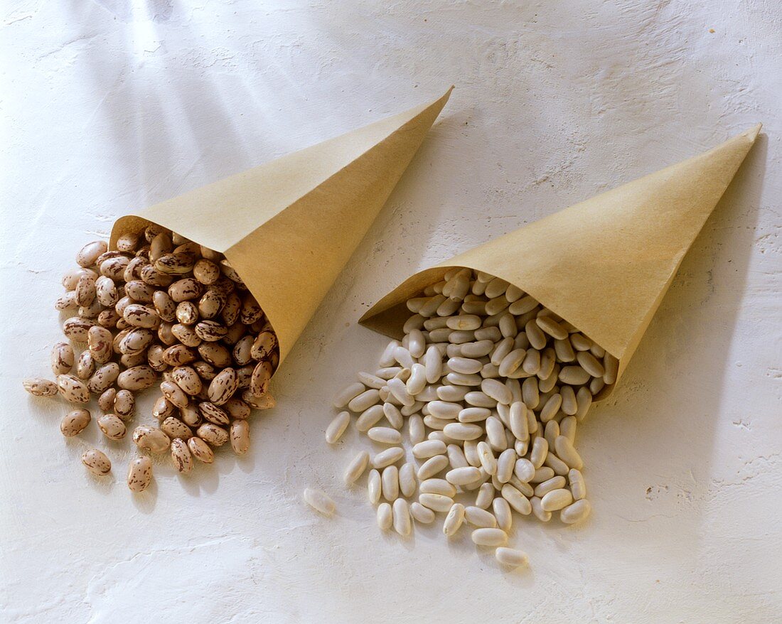 White beans and borlotti beans in paper bags