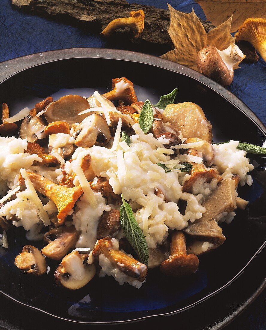 Rabbit Risotto with Mushrooms