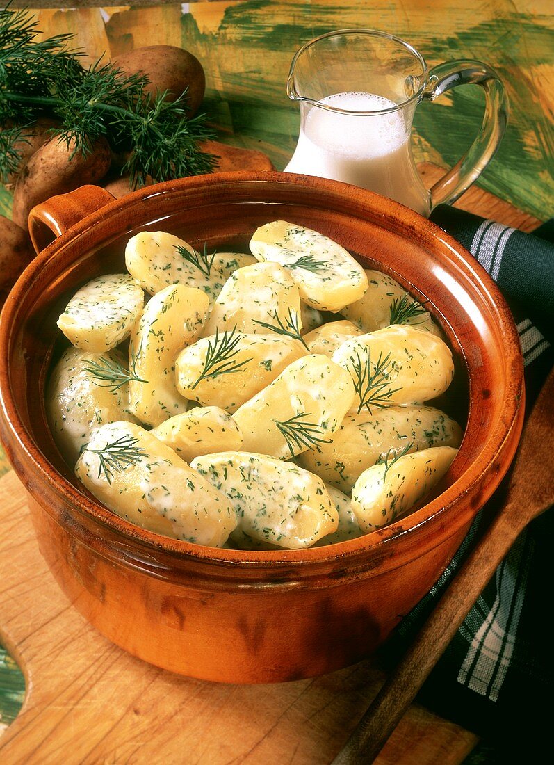 Potatoes in clay pot with dill cream sauce