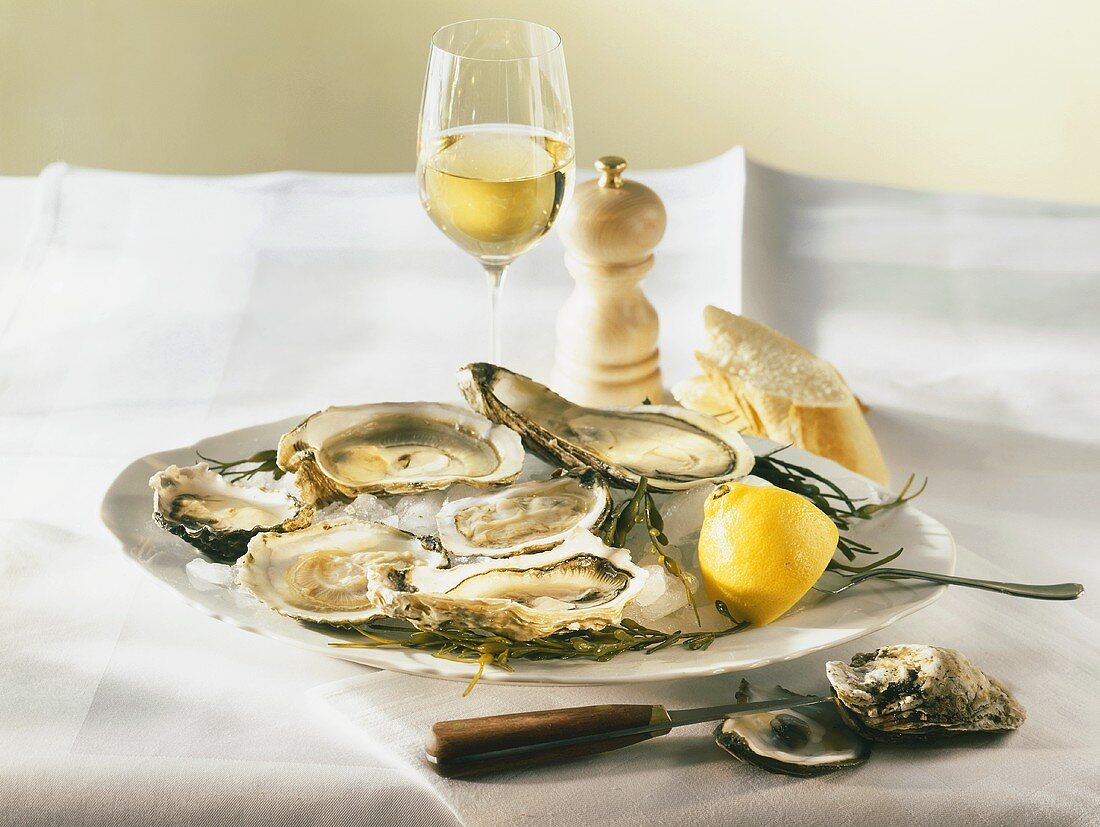 A plate of oysters and lemon