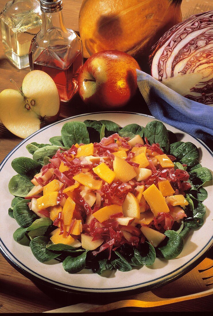 Pumpkin & red cabbage salad with apples on corn salad