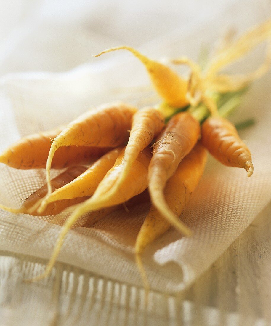 Bunch of carrots lying on a linen cloth