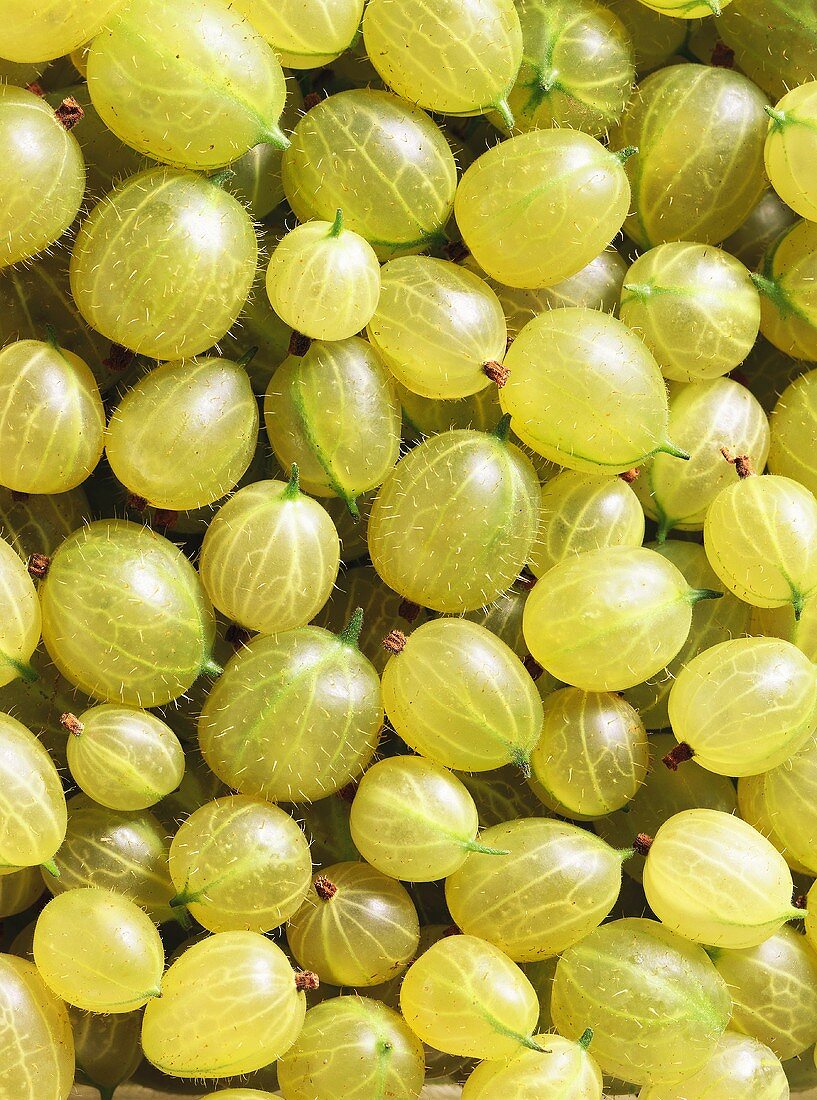 Green gooseberries (close-up)