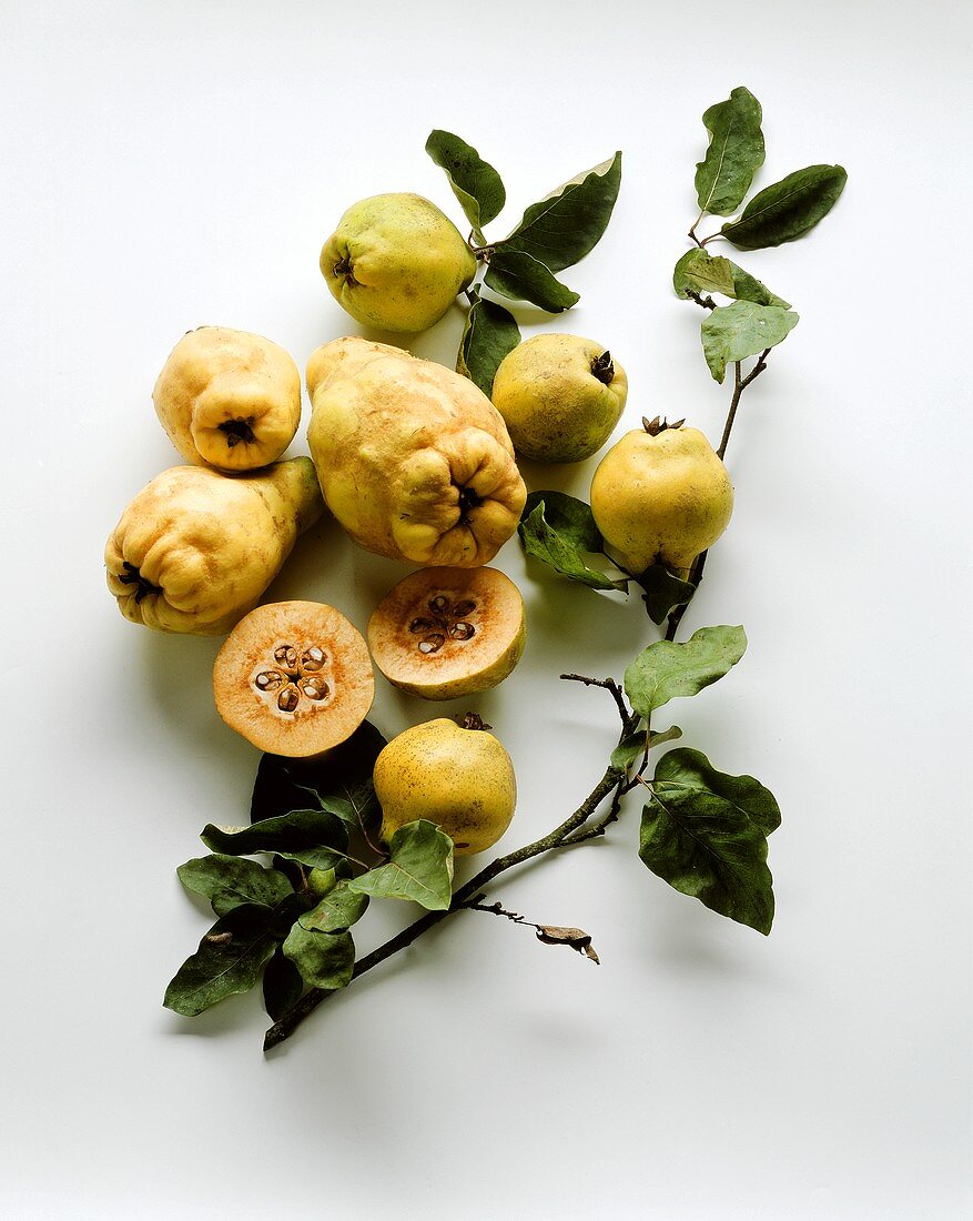 Several quinces, stalks and leaves beside them