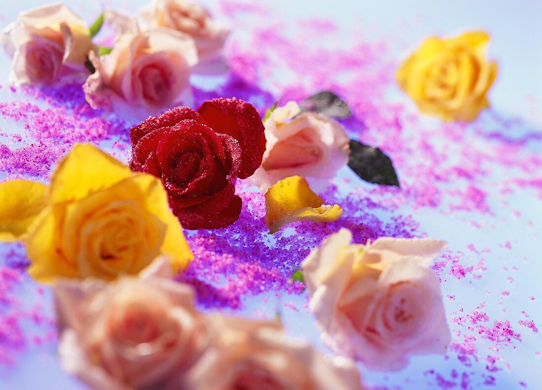 Gezuckerte Rosenblüten in verschiedenen Farben