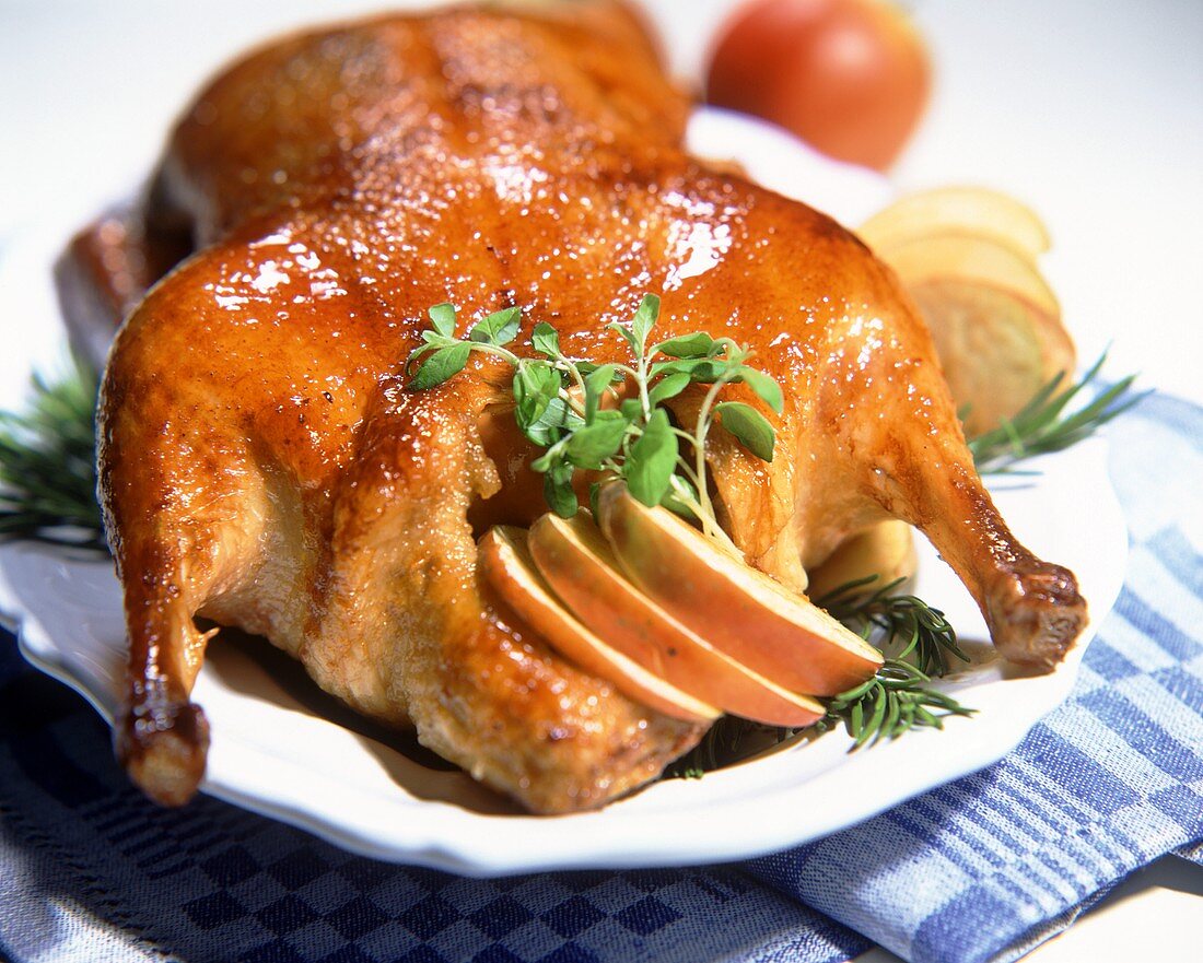 Stuffed duck with apple wedges – License Images – 148417 ❘ StockFood