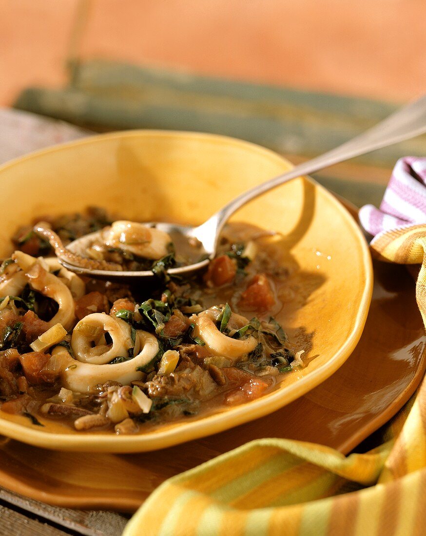 Calamari in umido (Tintenfisch in Gemüsesauce, Italien)