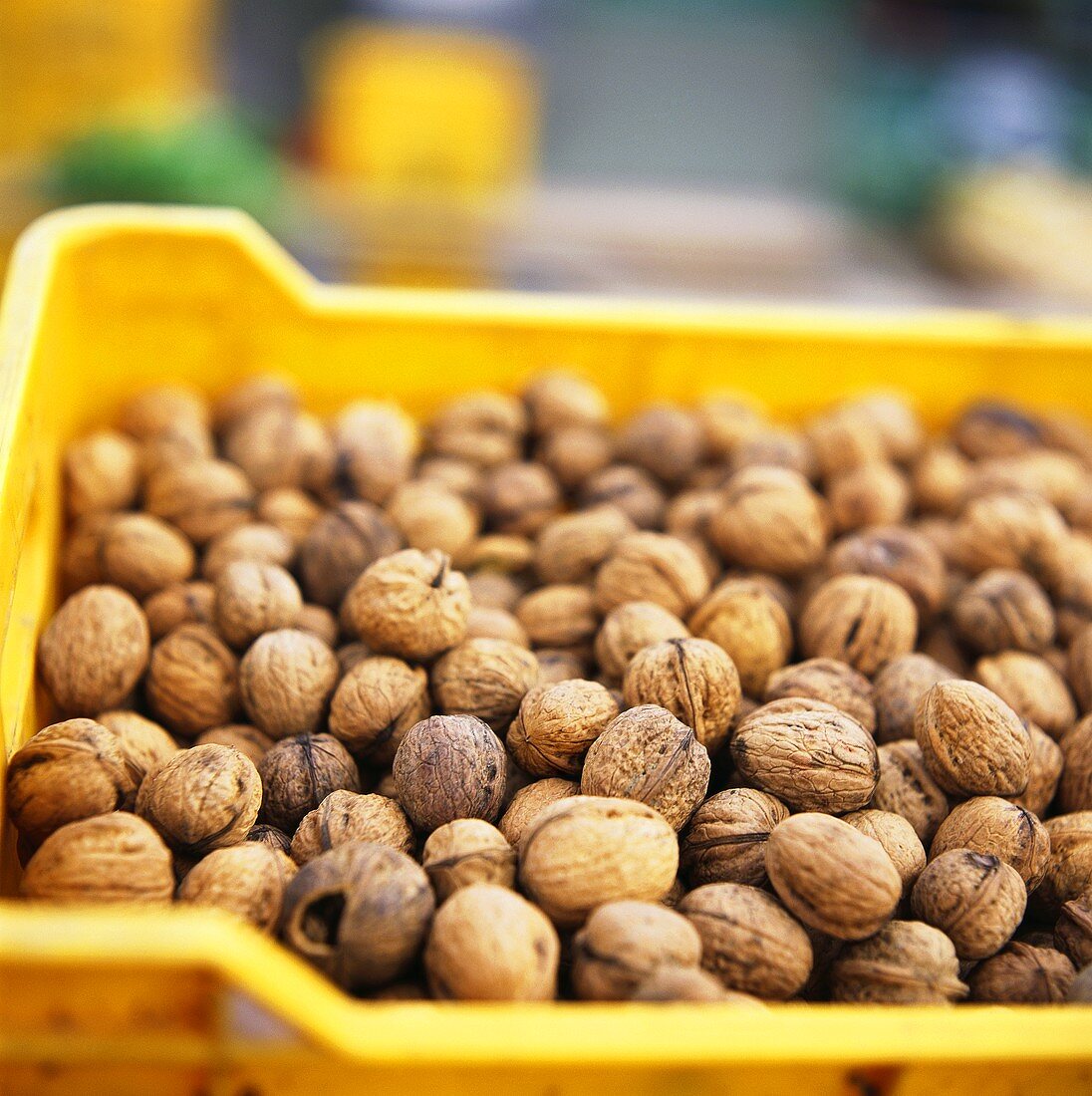 Many walnuts in crate at the market