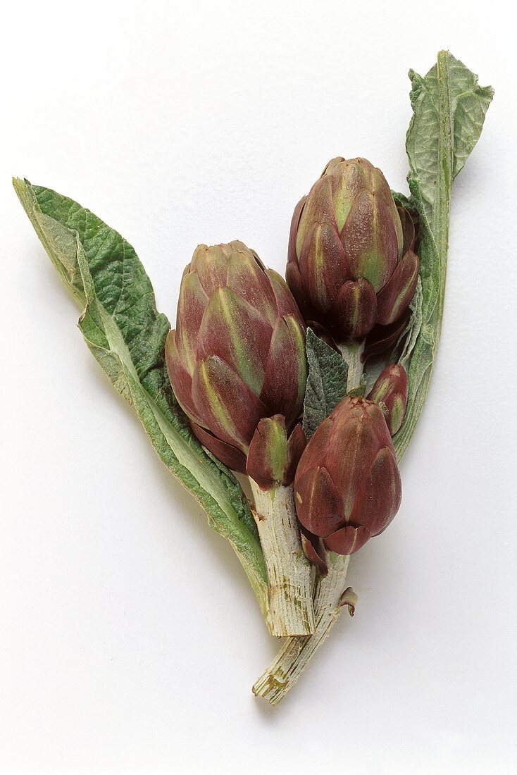 Three Artichokes