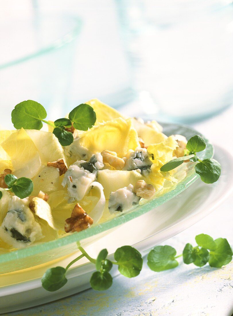 Chicory salad with Roquefort, nuts and watercress