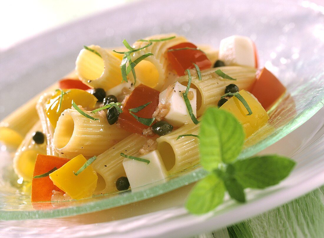 Rigatoni-Salat mit Mozzarella und Tomaten