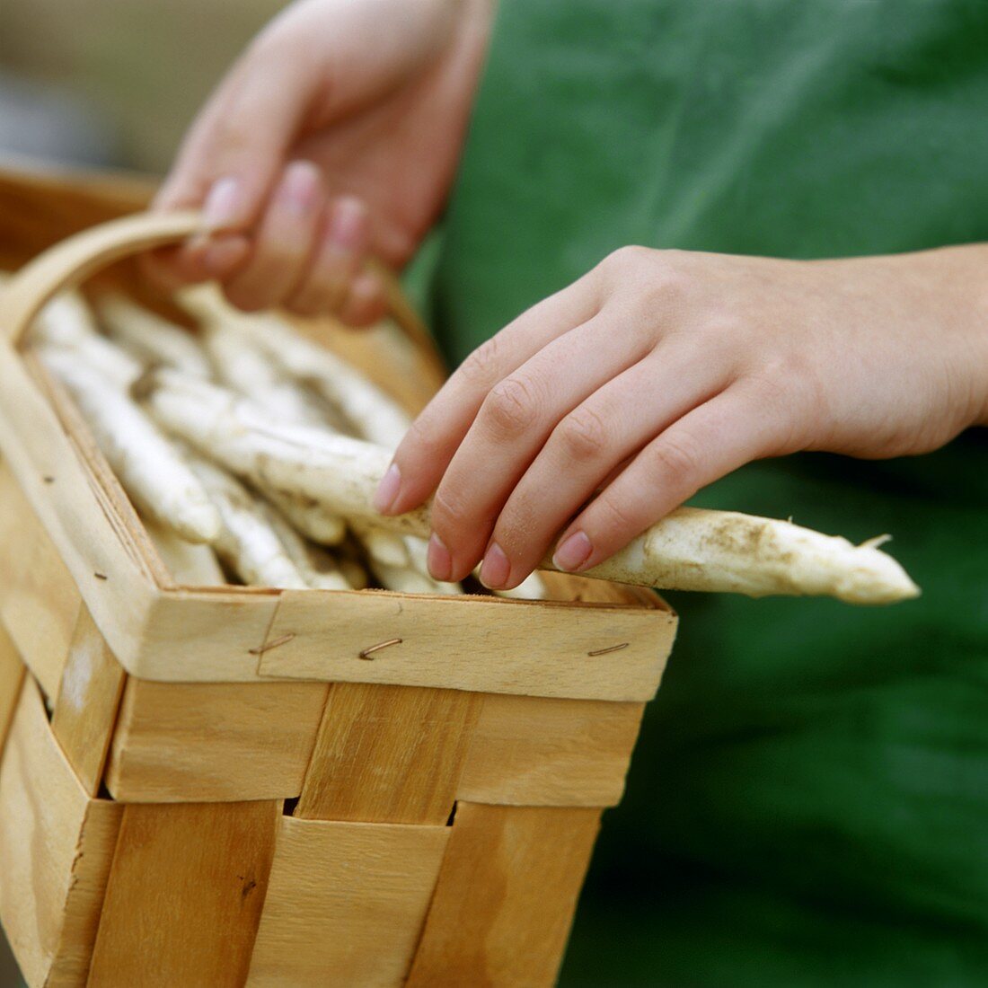 Hand laying white asparagus in a chip basket