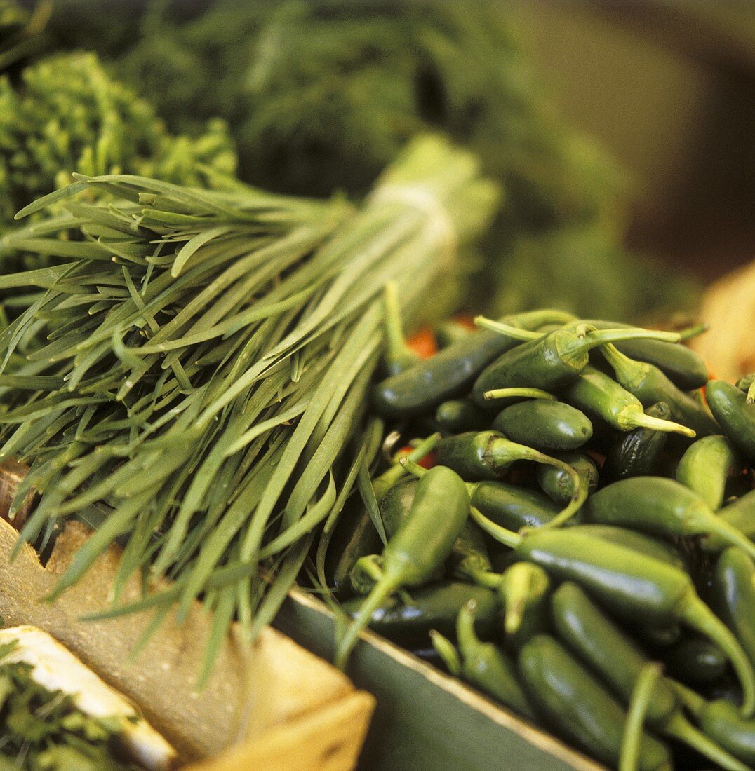 Chives and green chili peppers on the market