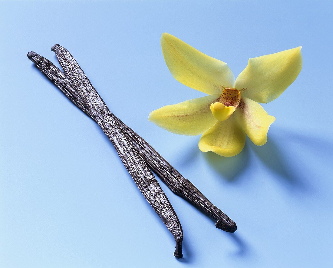 Two vanilla sticks and an artificial vanilla flower