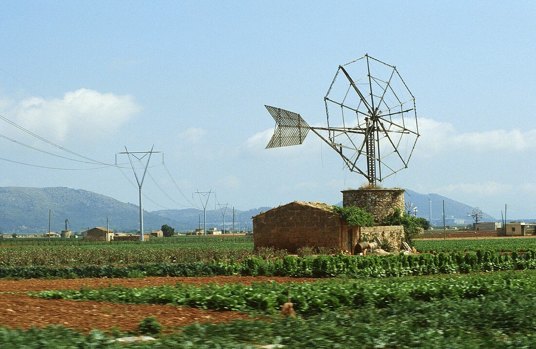 Alte Windmühle auf einem Feld auf Mallorca
