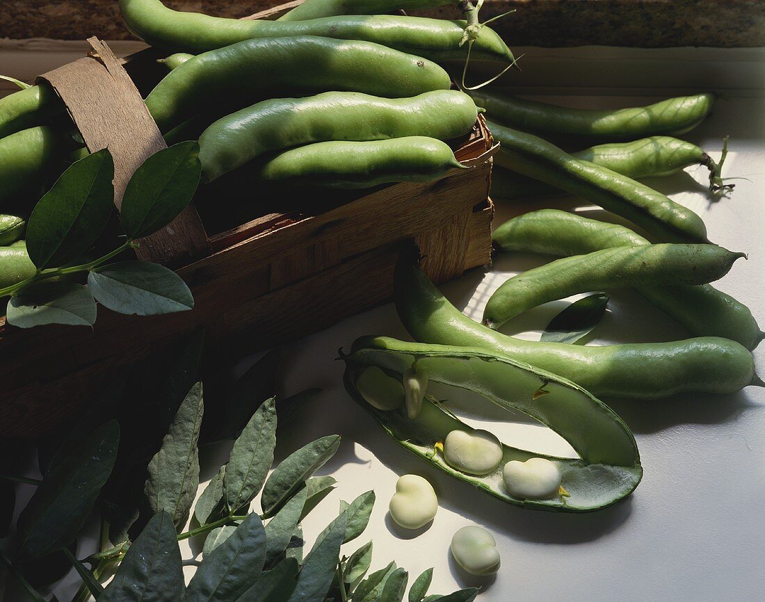 Broad beans in chip basket and beside it, one opened