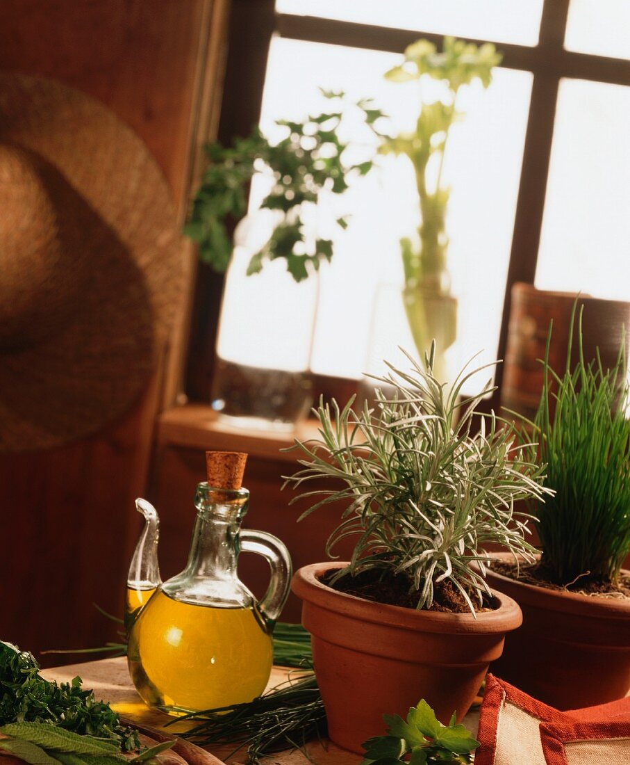 Stillleben mit frischen Kräutern und Olivenöl