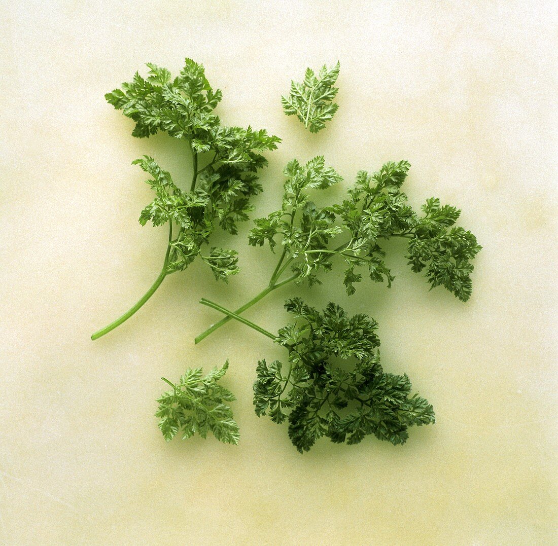 A few sprigs of fresh chervil