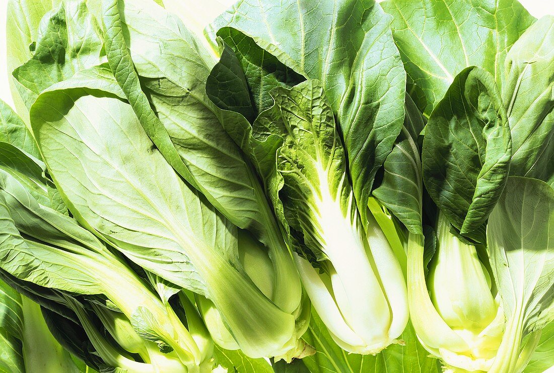 A few pak choi (filling the picture)