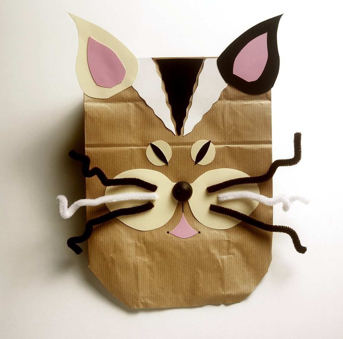 Tierische Papiermasken für die Kinderparty: Katze