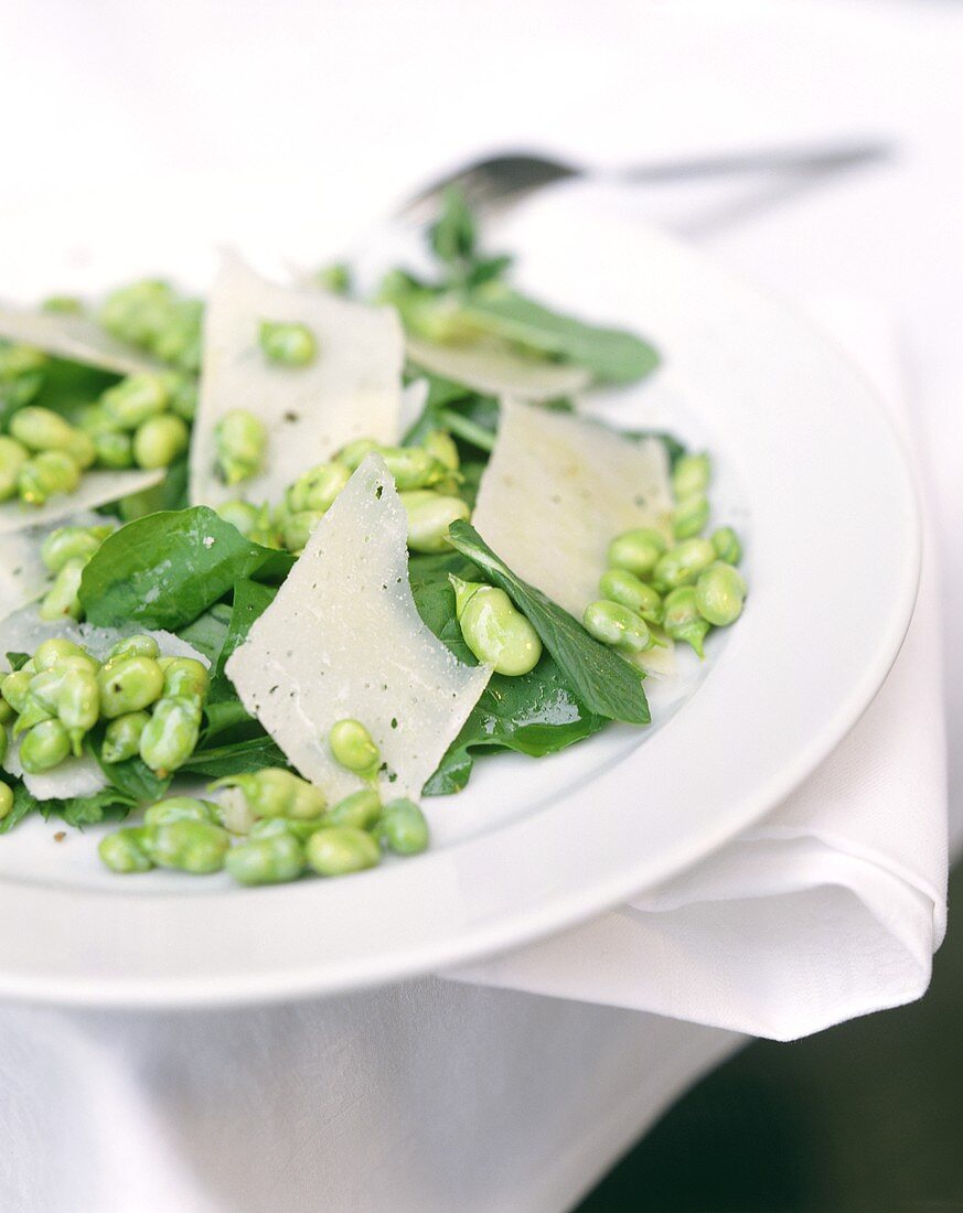 Bohnensalat mit Rucola und Pecorino